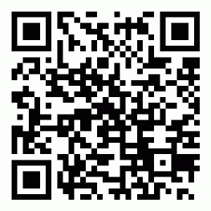 Auto Assembly QR Code